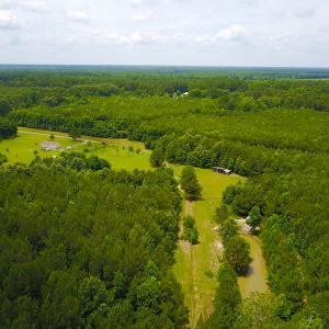 Photo of UNDER CONTRACT!  59 Acres of Hunting and Timber Land with Home For Sale in Bertie County NC!