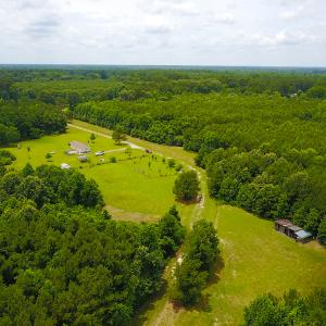Photo of UNDER CONTRACT!  59 Acres of Hunting and Timber Land with Home For Sale in Bertie County NC!