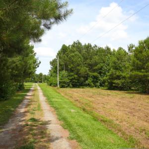 Photo of UNDER CONTRACT!  59 Acres of Hunting and Timber Land with Home For Sale in Bertie County NC!