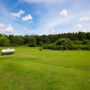 Photo of UNDER CONTRACT!  59 Acres of Hunting and Timber Land with Home For Sale in Bertie County NC!
