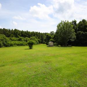 Photo of UNDER CONTRACT!  59 Acres of Hunting and Timber Land with Home For Sale in Bertie County NC!