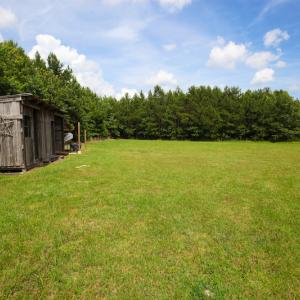 Photo of UNDER CONTRACT!  59 Acres of Hunting and Timber Land with Home For Sale in Bertie County NC!