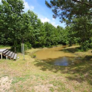 Photo of UNDER CONTRACT!  59 Acres of Hunting and Timber Land with Home For Sale in Bertie County NC!