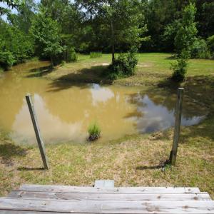 Photo of UNDER CONTRACT!  59 Acres of Hunting and Timber Land with Home For Sale in Bertie County NC!
