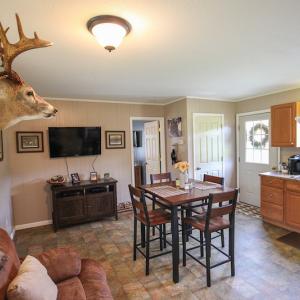 Photo of UNDER CONTRACT!  59 Acres of Hunting and Timber Land with Home For Sale in Bertie County NC!
