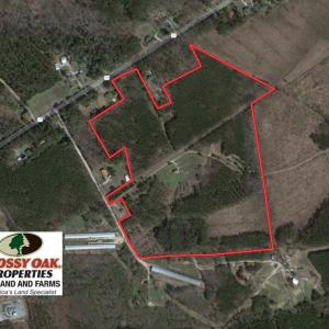 Photo of UNDER CONTRACT!  59 Acres of Hunting and Timber Land with Home For Sale in Bertie County NC!