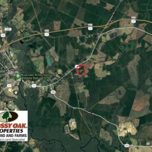 Photo of UNDER CONTRACT!  59 Acres of Hunting and Timber Land with Home For Sale in Bertie County NC!