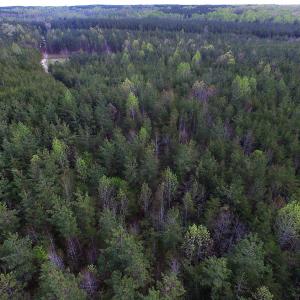 Photo of UNDER CONTRACT!  18 Acres of Residential and Recreational Land For Sale in Charlotte County VA!