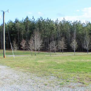 Photo of UNDER CONTRACT!  18 Acres of Residential and Recreational Land For Sale in Charlotte County VA!