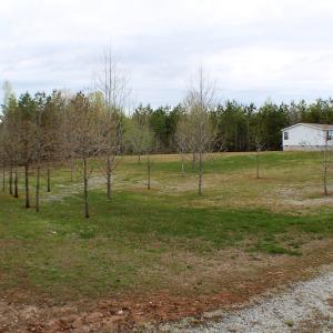 Photo of UNDER CONTRACT!  18 Acres of Residential and Recreational Land For Sale in Charlotte County VA!