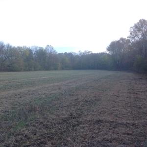 Photo of SOLD!!  31 Acres of Riverfront Hunting Land For Sale in Halifax County VA!
