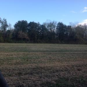 Photo of SOLD!!  31 Acres of Riverfront Hunting Land For Sale in Halifax County VA!