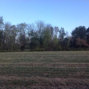 Photo of SOLD!!  31 Acres of Riverfront Hunting Land For Sale in Halifax County VA!