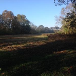 Photo of SOLD!!  31 Acres of Riverfront Hunting Land For Sale in Halifax County VA!