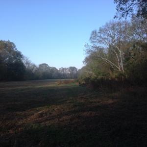 Photo of SOLD!!  31 Acres of Riverfront Hunting Land For Sale in Halifax County VA!