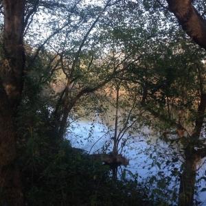 Photo of SOLD!!  31 Acres of Riverfront Hunting Land For Sale in Halifax County VA!
