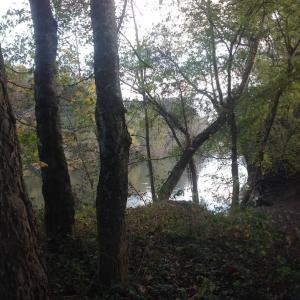 Photo of SOLD!!  31 Acres of Riverfront Hunting Land For Sale in Halifax County VA!