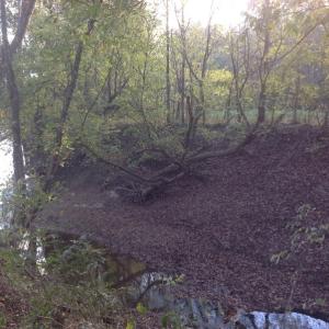Photo of SOLD!!  31 Acres of Riverfront Hunting Land For Sale in Halifax County VA!