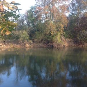 Photo of SOLD!!  31 Acres of Riverfront Hunting Land For Sale in Halifax County VA!