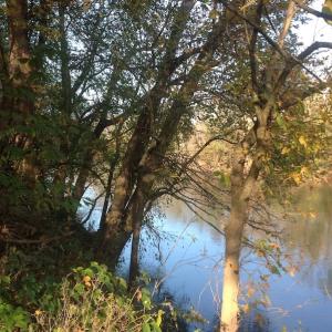 Photo of SOLD!!  31 Acres of Riverfront Hunting Land For Sale in Halifax County VA!