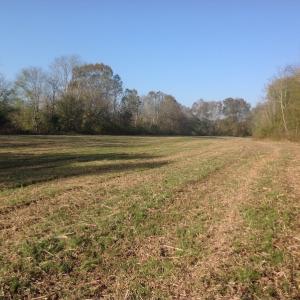 Photo of SOLD!!  31 Acres of Riverfront Hunting Land For Sale in Halifax County VA!