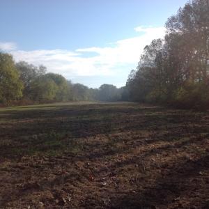 Photo of SOLD!!  31 Acres of Riverfront Hunting Land For Sale in Halifax County VA!