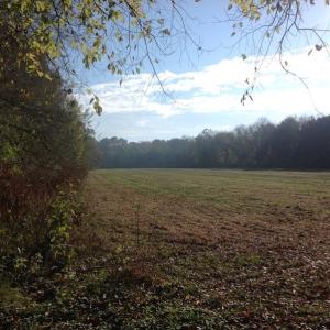 Photo of SOLD!!  31 Acres of Riverfront Hunting Land For Sale in Halifax County VA!