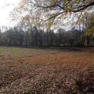 Photo of SOLD!!  31 Acres of Riverfront Hunting Land For Sale in Halifax County VA!