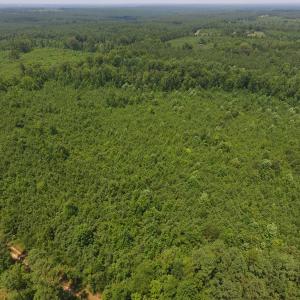 Photo of UNDER CONTRACT!  25.04 Acres of Hunting Land For Sale in Warren County NC!
