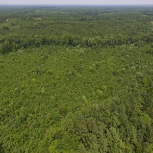 Photo of UNDER CONTRACT!  25.04 Acres of Hunting Land For Sale in Warren County NC!