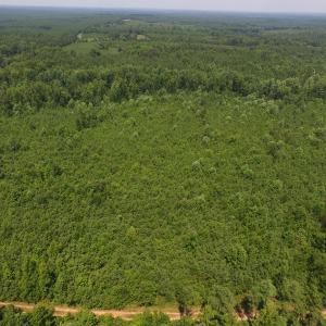 Photo of UNDER CONTRACT!  25.04 Acres of Hunting Land For Sale in Warren County NC!