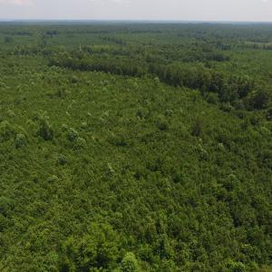 Photo of UNDER CONTRACT!  25.04 Acres of Hunting Land For Sale in Warren County NC!