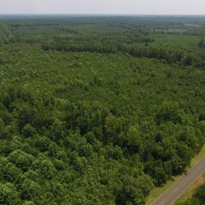 Photo of UNDER CONTRACT!  25.04 Acres of Hunting Land For Sale in Warren County NC!