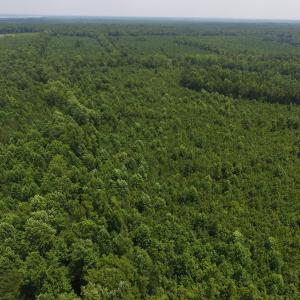 Photo of UNDER CONTRACT!  25.04 Acres of Hunting Land For Sale in Warren County NC!