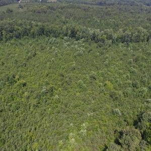 Photo of UNDER CONTRACT!  25.04 Acres of Hunting Land For Sale in Warren County NC!