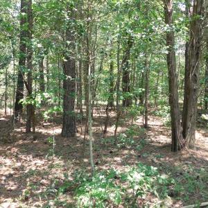Photo of UNDER CONTRACT!  25.04 Acres of Hunting Land For Sale in Warren County NC!