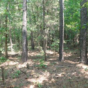 Photo of UNDER CONTRACT!  25.04 Acres of Hunting Land For Sale in Warren County NC!