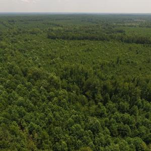 Photo of UNDER CONTRACT!  25.04 Acres of Hunting Land For Sale in Warren County NC!