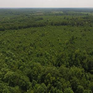 Photo of UNDER CONTRACT!  25.04 Acres of Hunting Land For Sale in Warren County NC!