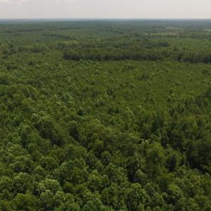 Photo of UNDER CONTRACT!  25.04 Acres of Hunting Land For Sale in Warren County NC!