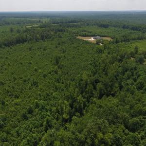 Photo of UNDER CONTRACT!  25.04 Acres of Hunting Land For Sale in Warren County NC!