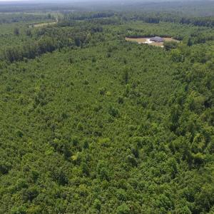 Photo of UNDER CONTRACT!  25.04 Acres of Hunting Land For Sale in Warren County NC!