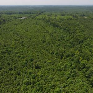 Photo of UNDER CONTRACT!  25.04 Acres of Hunting Land For Sale in Warren County NC!