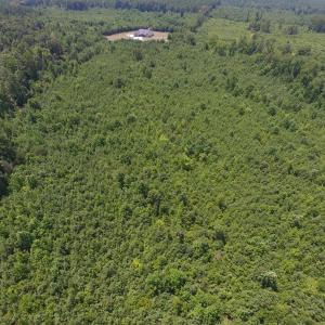 Photo of UNDER CONTRACT!  25.04 Acres of Hunting Land For Sale in Warren County NC!