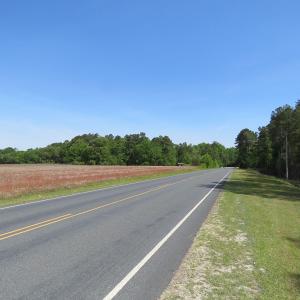 Photo of UNDER CONTRACT!  91 Acres of Farm and Timber Land For Sale in Robeson County NC!