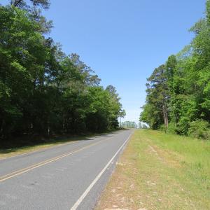 Photo of UNDER CONTRACT!  91 Acres of Farm and Timber Land For Sale in Robeson County NC!