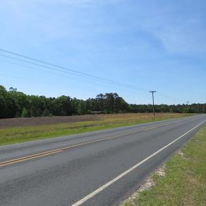 Photo of UNDER CONTRACT!  91 Acres of Farm and Timber Land For Sale in Robeson County NC!
