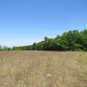 Photo of UNDER CONTRACT!  91 Acres of Farm and Timber Land For Sale in Robeson County NC!
