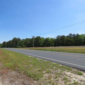 Photo of UNDER CONTRACT!  91 Acres of Farm and Timber Land For Sale in Robeson County NC!