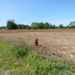 Photo of UNDER CONTRACT!  91 Acres of Farm and Timber Land For Sale in Robeson County NC!